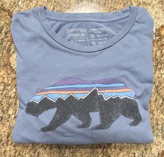 Patagonia Shirt Mens Large Blue Crew Short Sleeve Slim Fit Fitz Roy Bear Organic