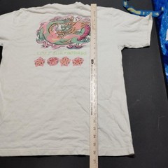 Lost Enterprise Dragon Shirt Y2k Surf Lifestyle Shirt Medium Preowned Fair A317
