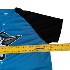 Success Brand MiLB Adult Men’s Size XL Fayetteville Woodpeckers #22 Mesh Jersey