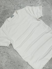 Dior Bee Logo T-Shirt Men’s Size IT48/S (Slim Fit) Made In Italy
