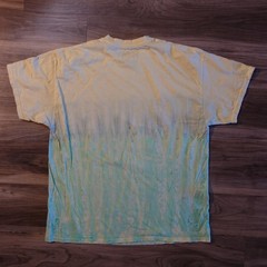 Licensed DEF LEPPARD Pyromania Spellout Graphic Acid Wash Tshirt Mens Small