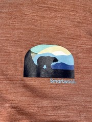 Smartwool T Shirt Bear Country Graphic Burnt Orange Size XL Base Layer Hiking
