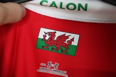 Under Armour Mens 2XL WRU Calon Brains SA Rugby Jersey Shirt N1390
