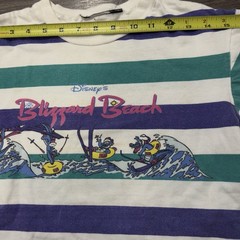 Vintage 90s Disney Blizzard Beach T Shirt Striped Graphic Size XS Water Park AOP