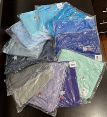 Hanes Tagless 100% Preshrunk Cotton Men’s Size Large Tee Shirts Many Colors