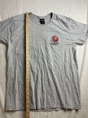 Georgia Bulldogs Athens T-Shirt Gray Mens L Football Capital of the South Sporty