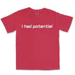 I Had Potential Shirt Funny T-Shirts Men Graphic Shirt Funny Shirt For Men