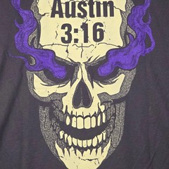 WWE WWF Wrestling Stone Cold Steve Austin Shirt Men Medium GRAY 3:16 Skull NWT B