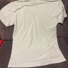 Orvis Men’s Short Sleeve Light Green Used Size Large Pre-Owned