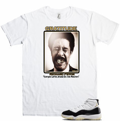 We Will Fit shirt to match Jordan 11 Gratitude Defining moment DMP concord