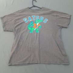 Florida Gators Mens Size XL Graphic T Shirt Short Sleeve Elite Fan Gray NCAA Tee