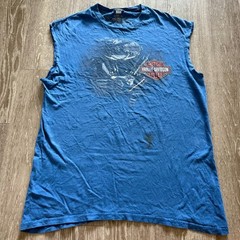 Harley Davidson Grunge Biker Faded North Carolina Speedway T-Shirt – Size L Blue