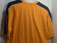 US Polo Assn Men’s Shirt Size Large T Shirt With Logo Pre-owned