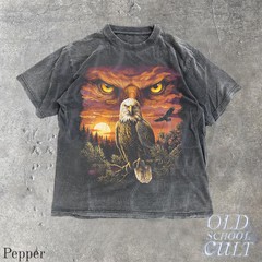 Bald Eagle Wildlife Vintage Comfort Tee Nature Bird Gift
