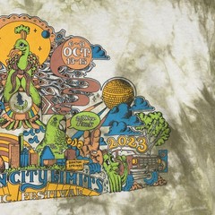 Austin City Limits Music Festival Shirt Mens Large Green 2023 Tie Dye Tee