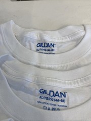 Fruit Of The Loom & Gildan T-shirt Lot Of 17 – NEVER WORN – Blank – Sizes Vary
