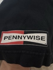 90s Pennywise California Punk Band Vintage T Shirt Box Logo W Skull