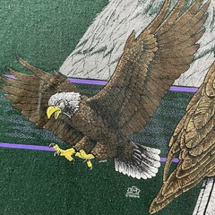 Vintage Eagle Shirt Mens XL Green 90s Nature Rap Tee Bald Eagle JERZEES Grunge