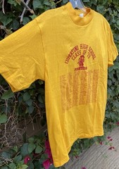 Vintage 1979 Cupertino High School Pioneers Class Of 79 T Shirt 70s 1970s Size M