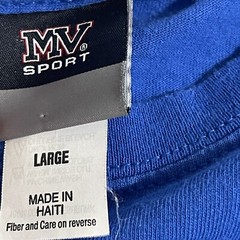 MV Sport Shirt Men Large Blue Lightweight Casual Graphic Short Sleeve Crew Neck