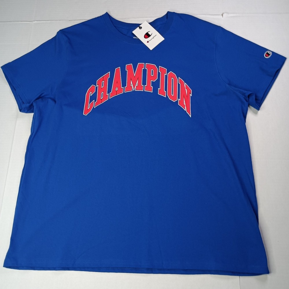 Champion Men’s Classic Jersey T-Shirt Surf the Web Size 2XL XXL Blue