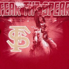 Y2K Delta Magnum Weight Florida State Seminoles Fear The Spear AOP Shirt XL