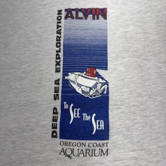 Vintage Deep Sea Exploration Tee Shirt Mens Large Grey Alvin Submersible 90s