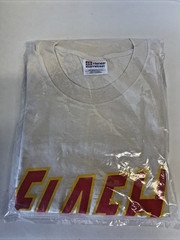 Vintage Hanes Heavy Weighty L DC Comics The Flash Graphitti Red T Shirt NWOT