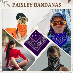 Paisley Cowboy Bandanas Bulk Polyester Headband Scarf Kerchief 36 PCS