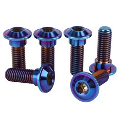 6Pcs Titanium Bolt M8 x 20mm 25mm Motorcycle Rear Brake Rotor Screw (Burnt Bl…