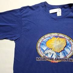 Kauai Hawaii The Garden Isle Graphic Tee Dolphin Tropical Blue 2X Shirt