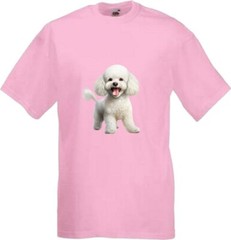 Bichon Friese Dog White Pet Family Novelty T Shirt Various Colours And Sizes