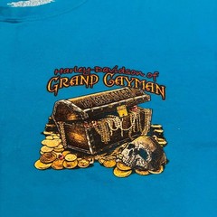 Vintage 90s Sun Sportswear Great West Brand Car Graphic T-Shirt