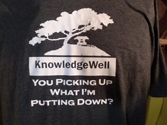 KnowledgeWell YOU PICKING UP WHAT I’M PUTTING DOWN? T SHIRT GILDEN XL