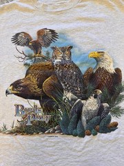 VTG Habitat T-Shirt Mens XL Gray Eagle Owl Nature Wildlife Animal Streetwear Y2K