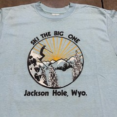 Vintage 80s Jackson Hole Wyoming T Shirt Men M Blue Ski Outdoor Nature Art USA