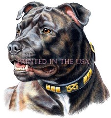 American Staffordshire Terrier Pitbull Brindle Color Portrait Custom T Shirt
