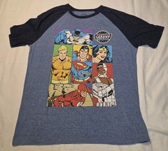 DC Comics Originals Justice League Raglan Graphic T-Shirt Large Blue