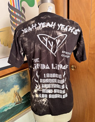 The Linda Lindas & Yeah Yeah Yeahs Tour Suna Graphic TShirt rock band