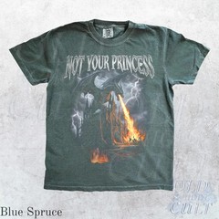 Not Your Princess Dragon Vintage Fantasy Art Comfort Tee