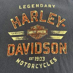 Harley Davidson T-Shirt Men’s XL Polar Bear Farthest North Outpost Fairbanks AK