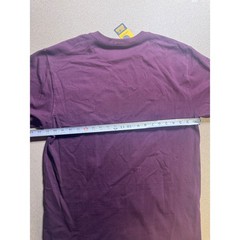 Carhartt Mens Loose Fit Heavyweight Pocket T-Shirt Plum Wine IRREGULAR