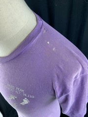 70s Vtg Paper Thin Colorado Tourist T-Shirt Tee Distressed Pikes Peak AOP Purple