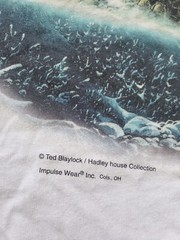 Ted Braylock Steam Train Shirt Large Hadley House Blue White