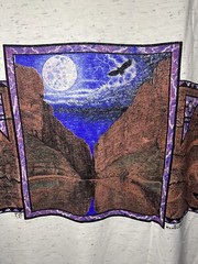 Vintage 1993 Grand Canyon Art Wrap Around AOP T-Shirt XL Outdoor Nature Eagle