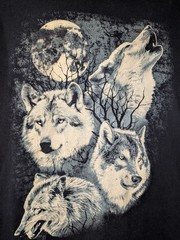 2000s Men’s Large Wolf T-shirt Fruit of The Loom Navy Short Sleeve Graphic Tee