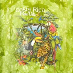 Costa Rica T Shirt Mens Size 2XL Green Tie Dye Pura Vida Rainforest Animal Tee