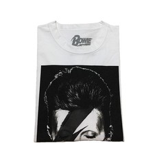 DAVID BOWIE Aladdin Sane Album Cover