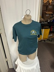 Champion Sportswear Autumn Night T-Shirt 2xl tee shirt t green