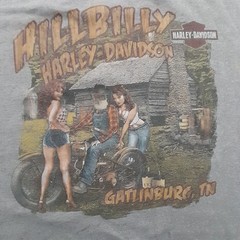 Harley Davidson T Shirt Mens L Gray Hillbilly HD Gatlinburg TN Motorcycles Biker